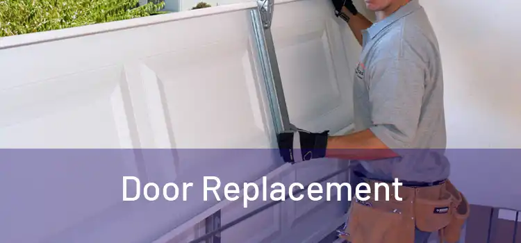  Door Replacement 